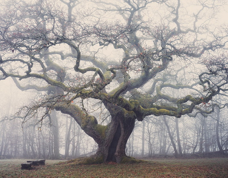 Допингистку из Европы прокатили мимо Олимпиады. Чемпионку выставили из сборной на целый год