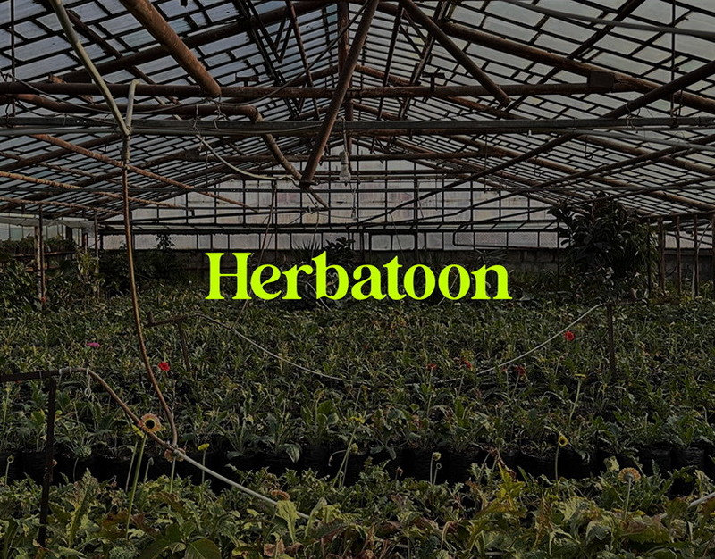 Годовая инфляция в России замедлилась до 7,2% на фоне роста цен на овощи